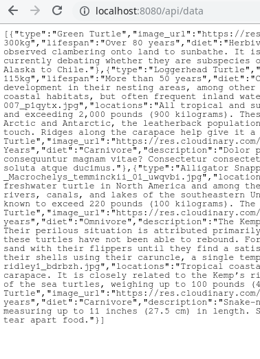 Data returned from the API