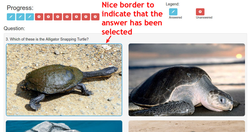 image question border feedback