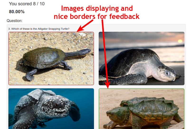 results image feedback border