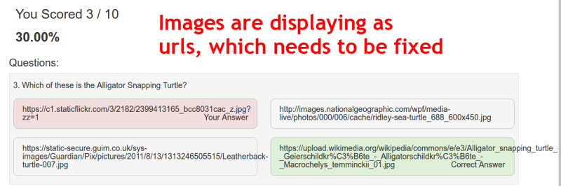 images not displaying correctly