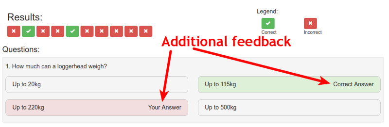 results question additonal feedback